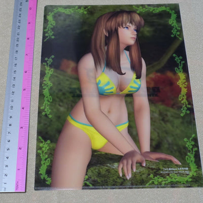 Dead or Alive Xtreme PVC Art Sheet Clear File Hitomi