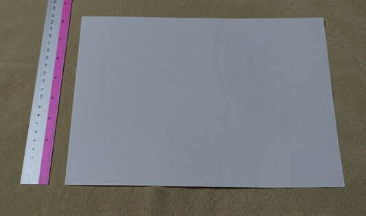 Little Witch Academia Event Privilege Print Key Frame Art No.18 Akko