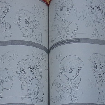 NOBUTERU YUUKI YUKI ESCAFLOWNE Anime & Design works Collection Book2 384page