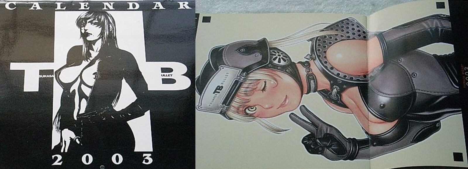 Tsukasa Jun Art Book Tsukasa Bullet CALENDAR BOOK 2003 VERY RARE