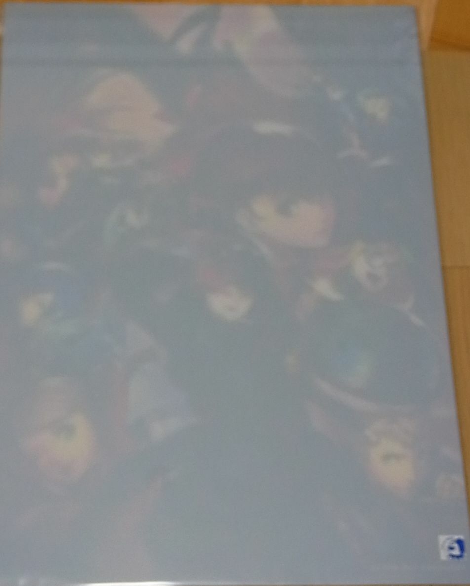 Persona5 The Royal A3 SIze Lenticular 3D Effect Poster P5 Persona 5
