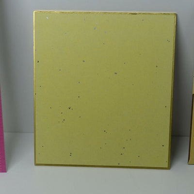 Kamome Shirahama ATELIER OF WITCH HAT Shikishi Art Board Coco B