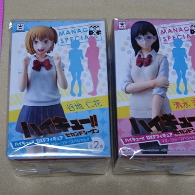 Banpresto Haikyu!! Kiyoko Shimizu & Hitoka Yachi DXF Figure Manager Haikyuu