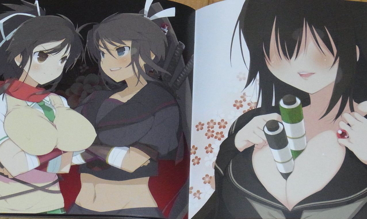 Senran Kagura Original Sound Track 4discs Set 113tracks & Visual Book