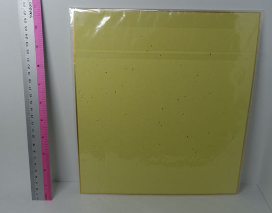 Black Bullet Printed Shikishi Art Board