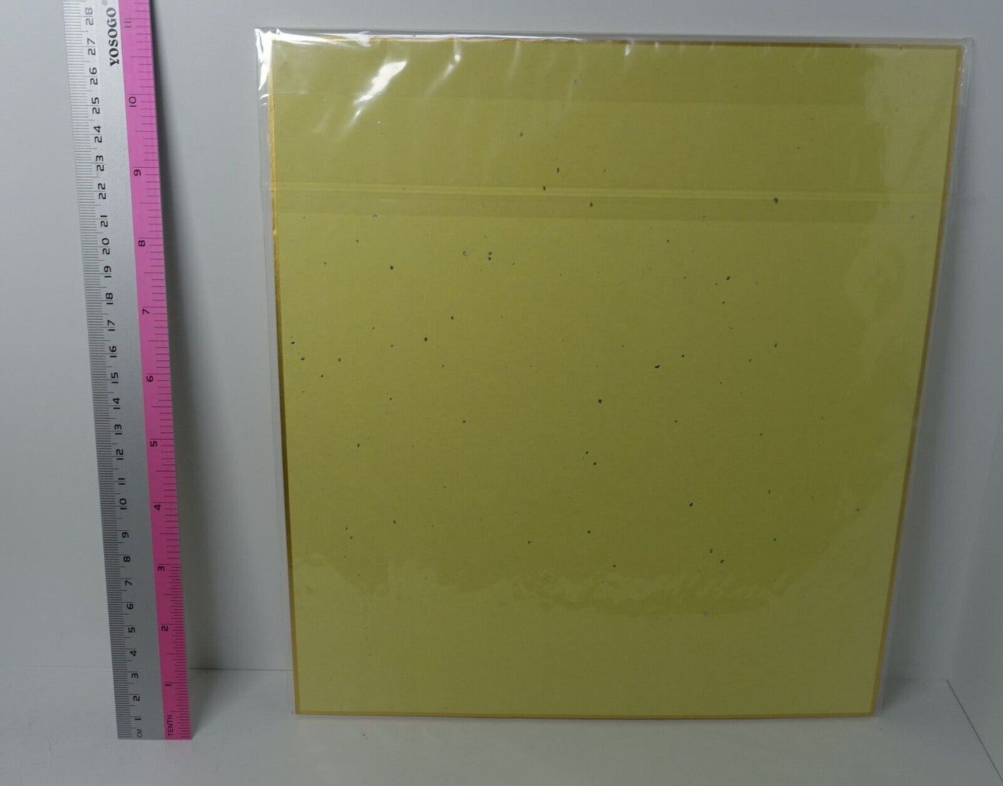 Black Bullet Printed Shikishi Art Board