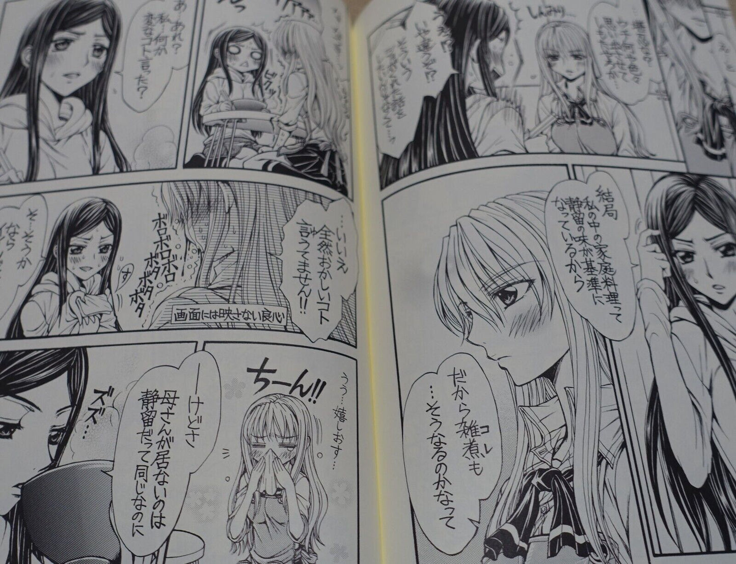 Doropanda Tours Mai-Hime My-Otome Natsuki&Shizuru Fan Doujinshi Comic Sishunki