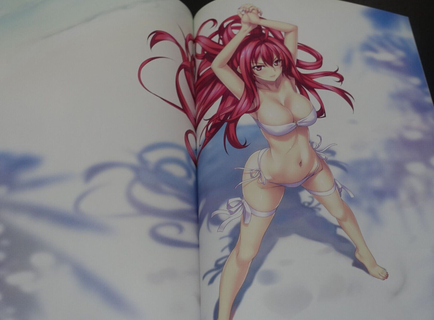 Kannaduki Noboru Light of Night Shinkyoku Sokai Polyphonica Designer's Art Book
