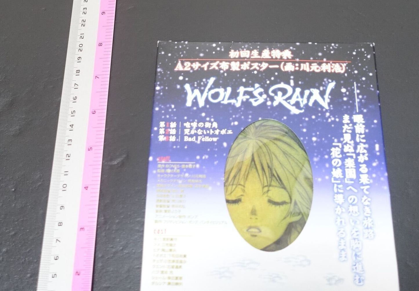 TOSHIHIRO KAWAMOTO Illustration Art Cloth Poster WOLF'S RAIN