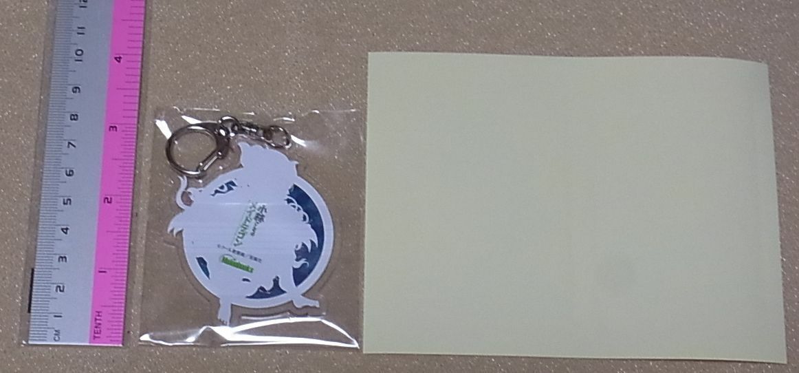 Miss Kobayashi's Dragon Maid IRURU Acrylic Key Chain & Seal Sticker set