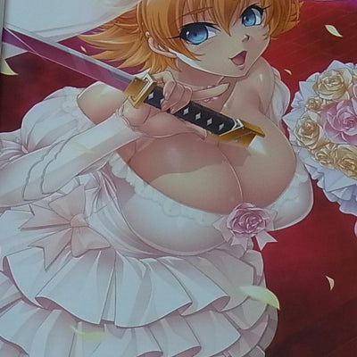 TAIMANIN ASAGI BATTLE ARENA CHARACTER VISUAL BOOK 4 NINJA GIRL