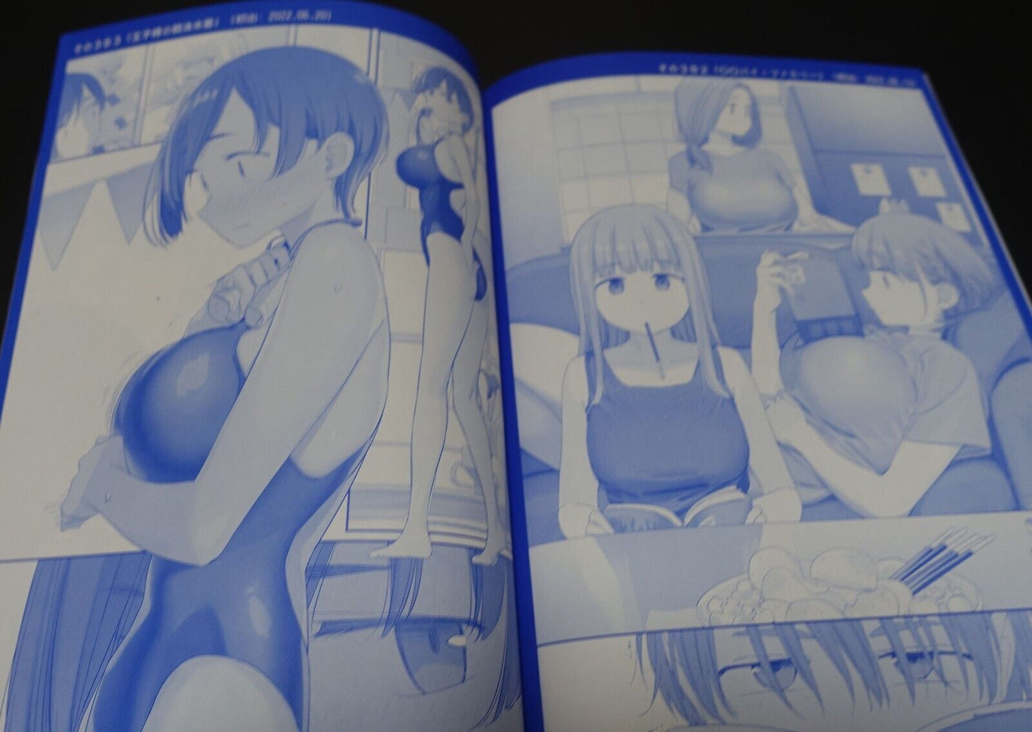 Kiseki Himura Original Art & Comic Getsuyoubi no Tawawa Tawawa on Monday 13 C100