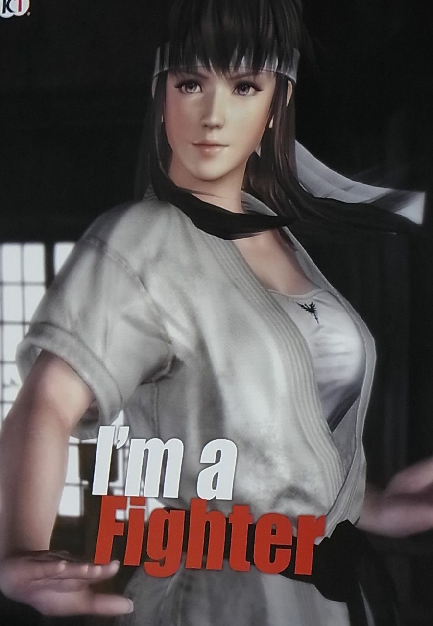 Dead Or Alive 5 Privilege Item I'm a Fighter Poster B2 Big Size Hitomi