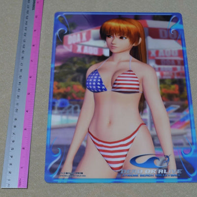 Dead or Alive Xtreme PVC Reversible Art Board Ayane & Kasumi