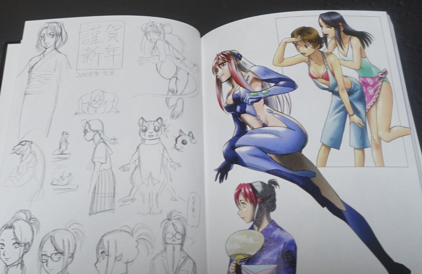 Yuuki Masami Illustration Art Book Birdy the Mighty Patlabor etc