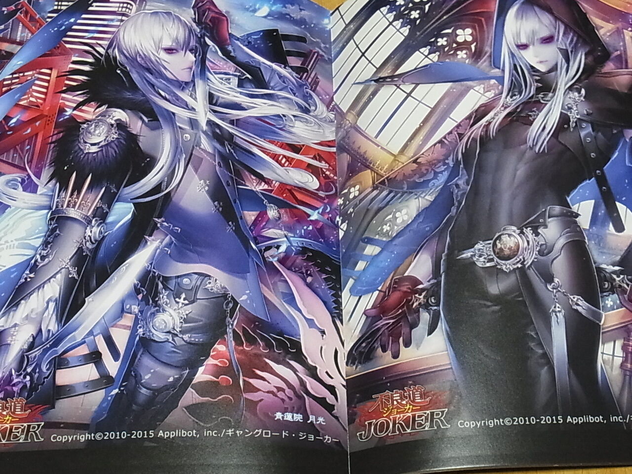 Setsu Color Illustration Art Book ALBATROSS