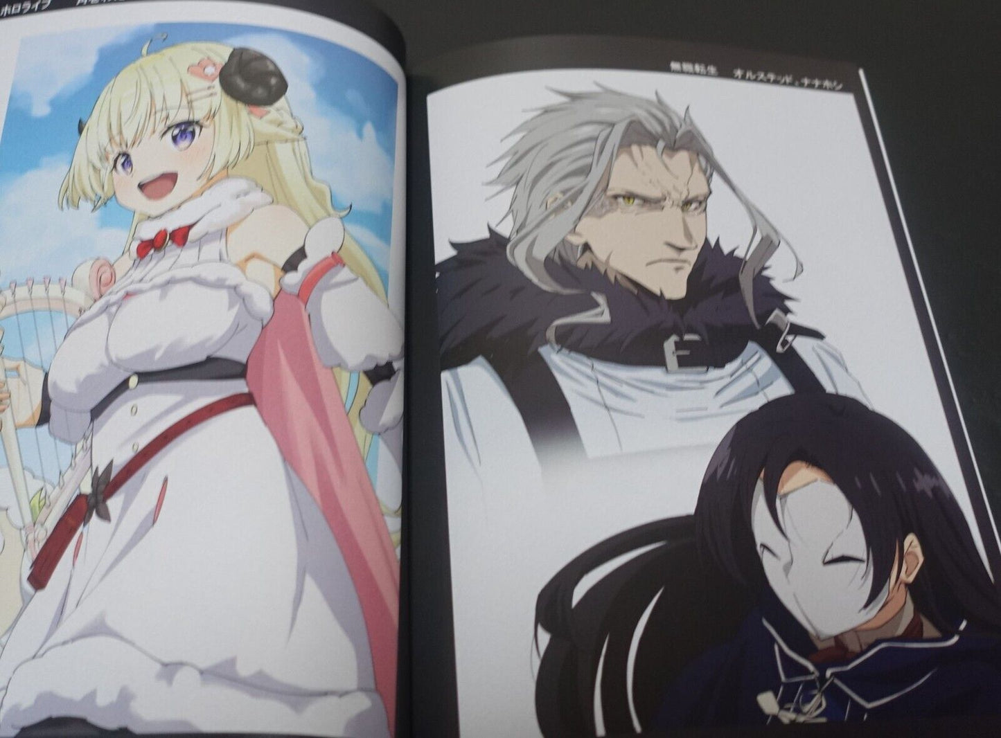 Aine Kou Kaguraya Hololive Mushoku Tensei Animation Art Work Book 2022