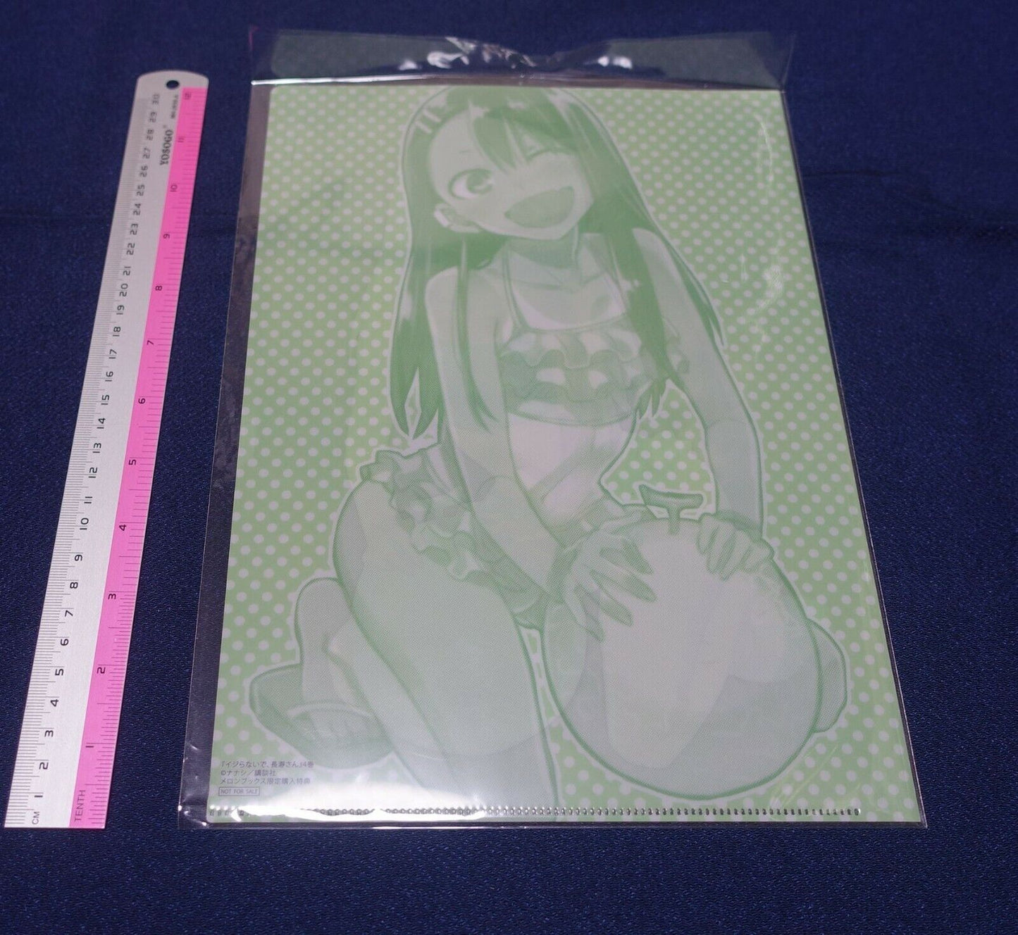 Don't Toy With Me, Miss Nagatoro PVC Art Sheet Clear File Melon Bikini