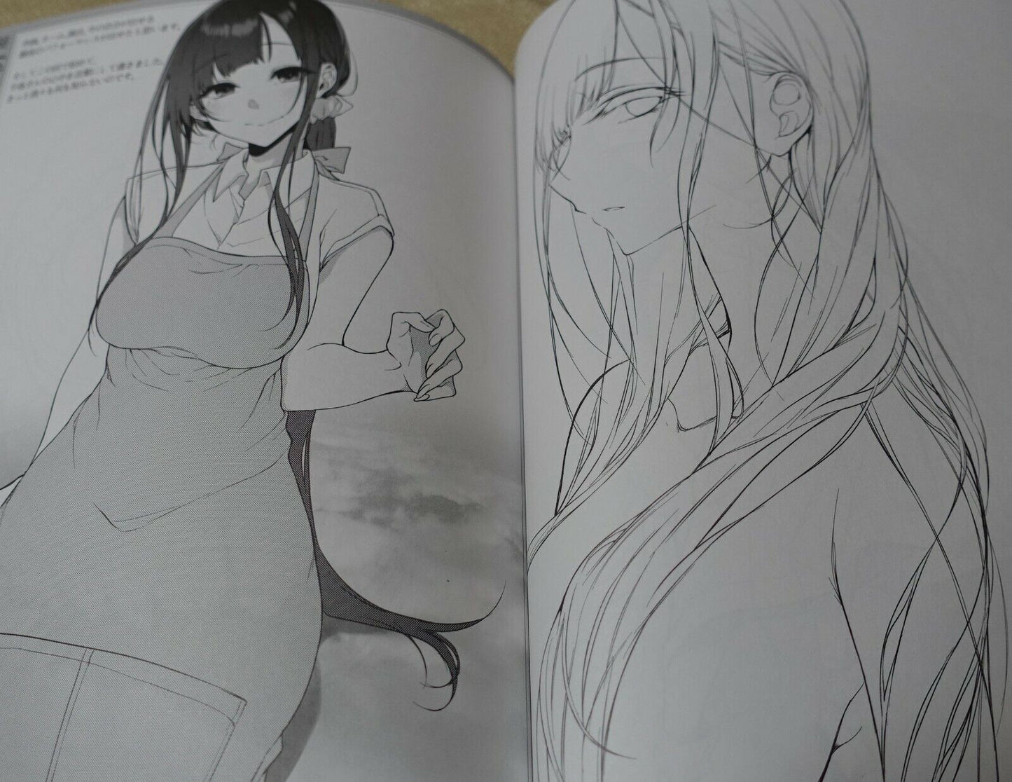 Pochi Iida Goya The Elder Sister Like One Art Book Ane Naru Mono 3.5 4.5 5.5 7.5