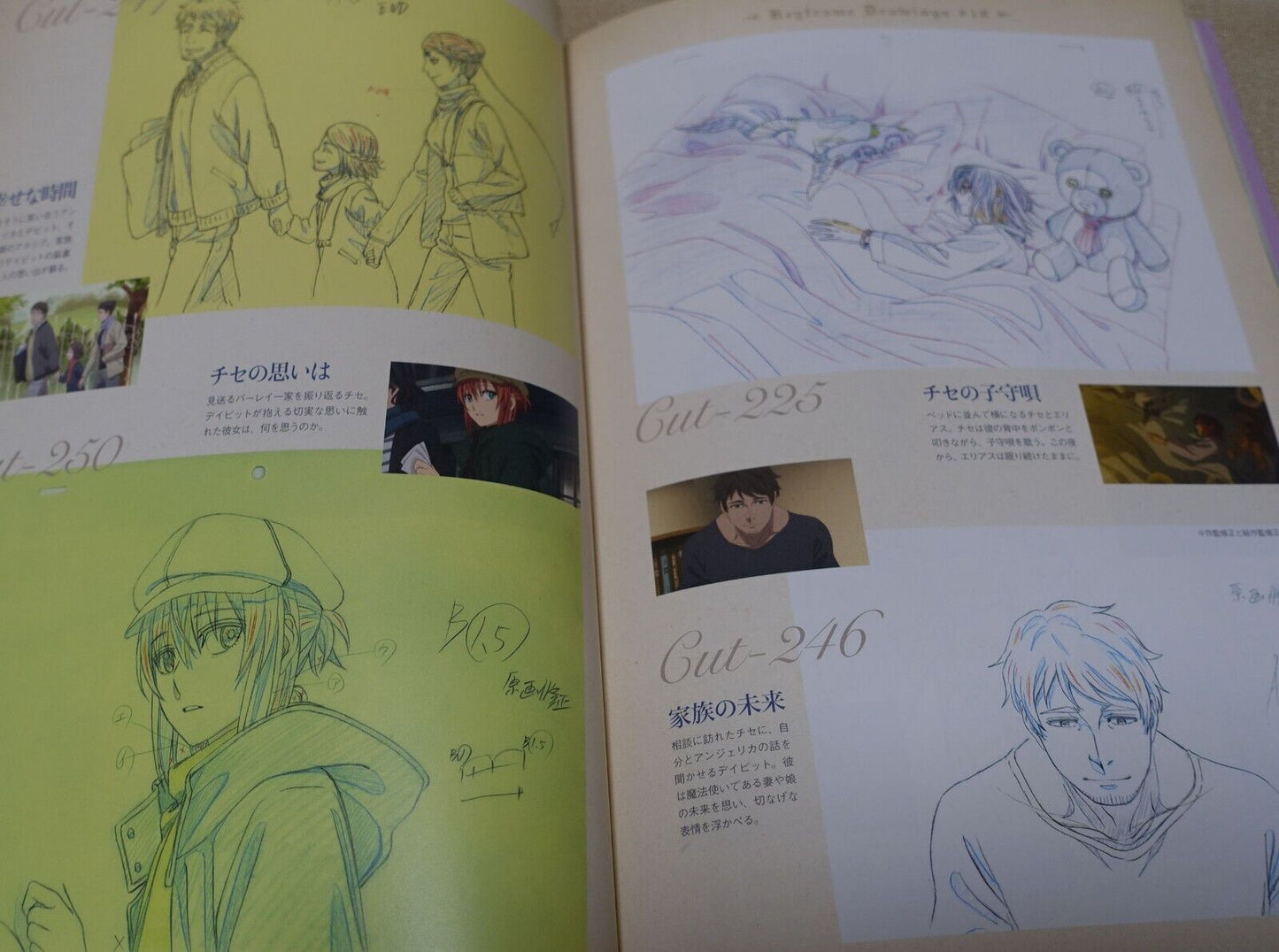 WIT STUDIO The Ancient Magus Bride Mahou Tsukai no Yome TV Animation Works 3rd