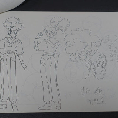 Pioneer LCD OVA Festival 94 Tenchi Muyo & Phantom Quest Corp. Setting Collection