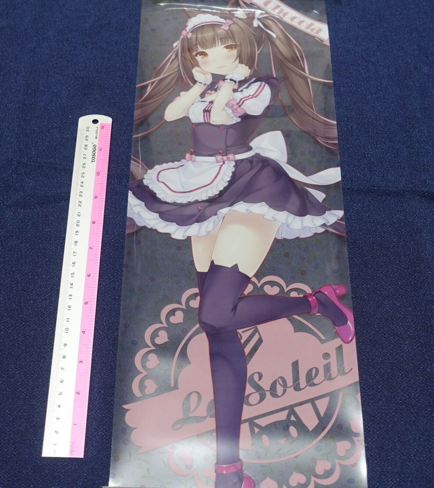 NEKO WORKs NEKO PARA PVC Clear Poster Chocola