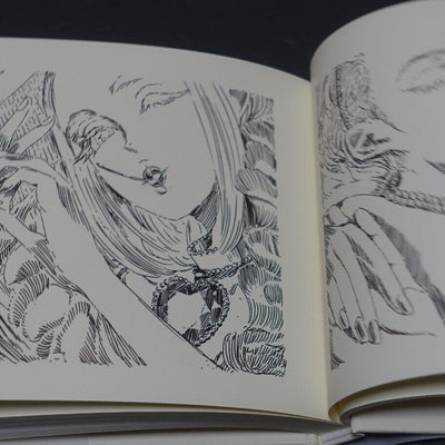 Land of the Lustrous Houseki no Kuni Art & Text Book The Party At The End
