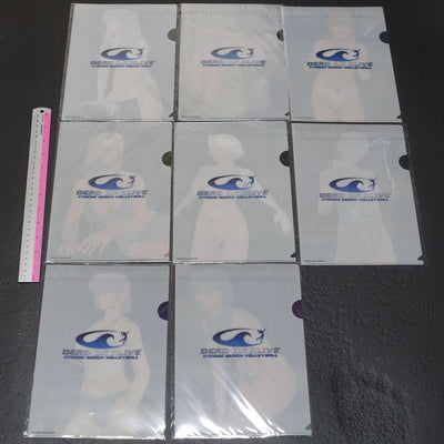 DEAD OR ALIVE XTREME BEACH VOLLEY BALL PVC Art Sheet Clear File 8 Set DOA