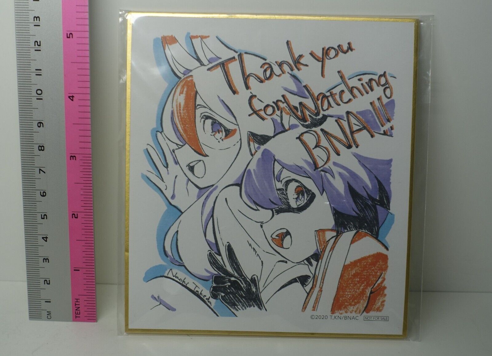 BNA Staff Illustration Shikishi Art Board Naoki Takeda