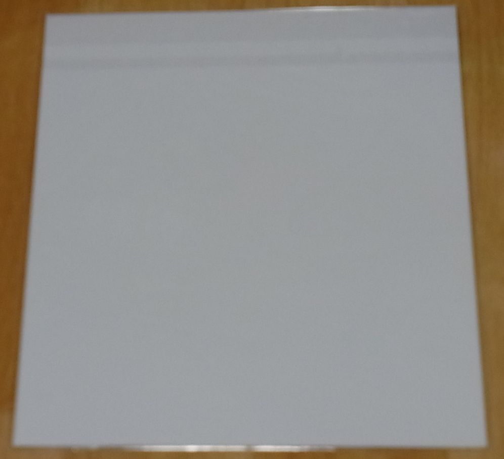 SWORD ART ONLINE ORDINAL SCALE Print Shikishi Art Sheet B