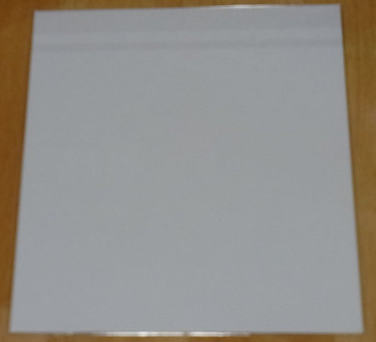 SWORD ART ONLINE ORDINAL SCALE Print Shikishi Art Sheet B