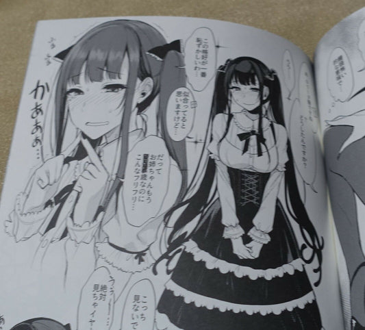 Pochi Iida Goya The Elder Sister Like One Art Book Ane Naru Mono 3.5