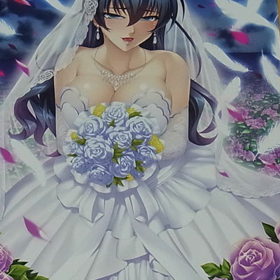 TAIMANIN ASAGI BATTLE ARENA CHARACTER VISUAL ART BOOK 9 NINJA GIRL 116page C95