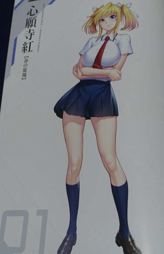 Lilith TAIMANIN RPGX CHARACTER VISUAL ART BOOK Vol.05 ASAGI