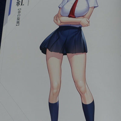 Lilith TAIMANIN RPGX CHARACTER VISUAL ART BOOK Vol.05 ASAGI