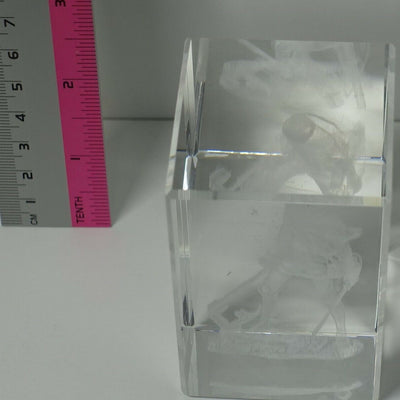 Attack on Titan Levi 3D Art Crystal