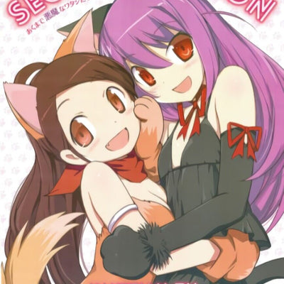 The World God Only Knows 51x72cm Promo Poster KAKETAMA-TAI