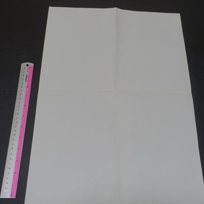 NOBUTERU YUUKI YUKI Original Illustration Art Poster