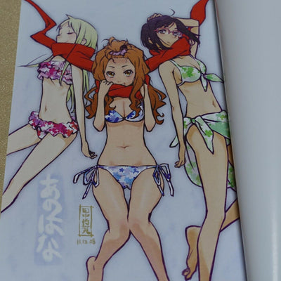 Masayoshi Tanaka Anohana The Flower We Saw That Day Key Frame & Design Book Set