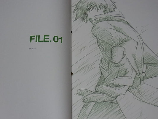 Darker Than Black Character Designer's Fan Art Book BLACK FILE
