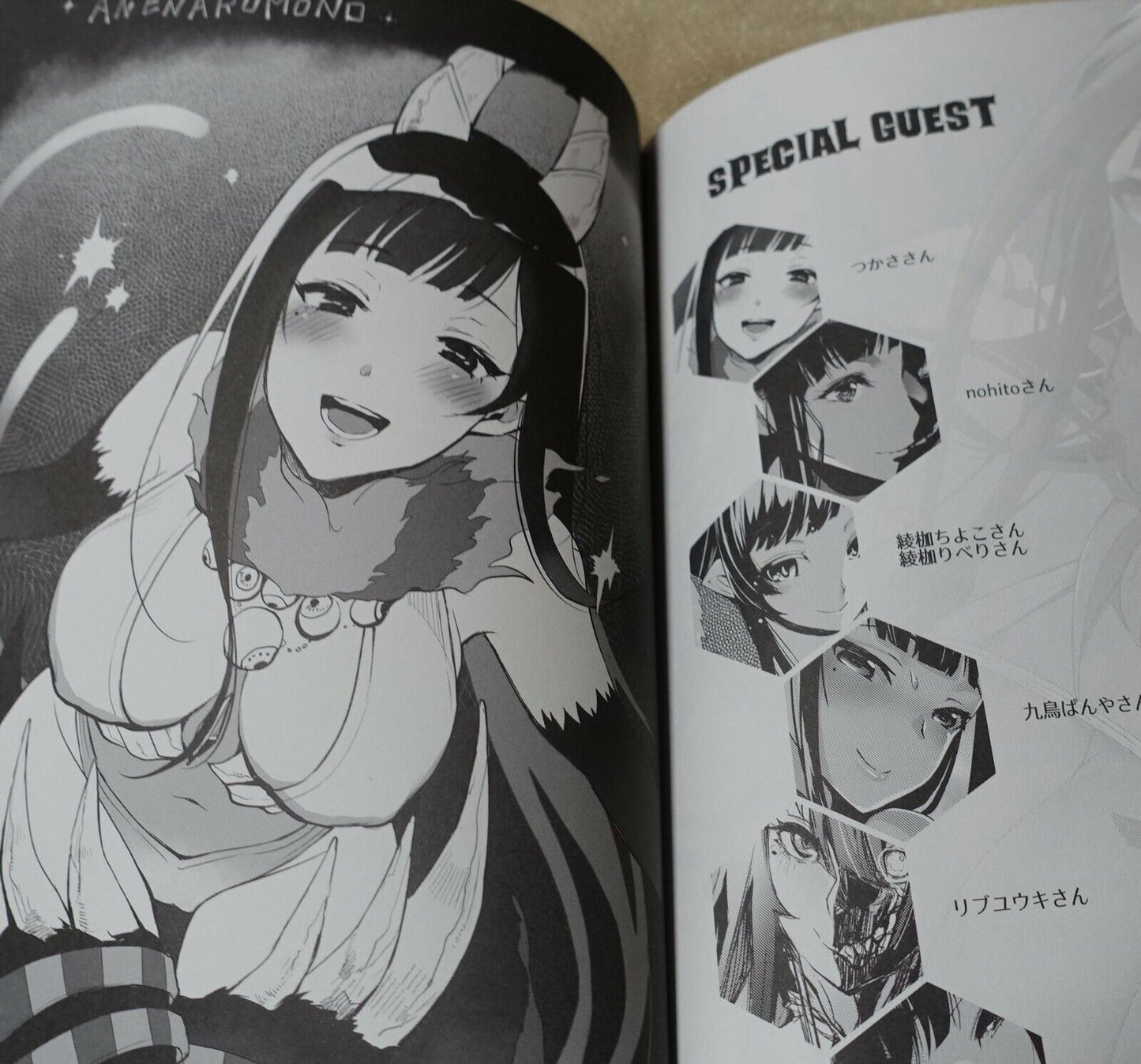 Pochi Iida Goya The Elder Sister Like One Art Book Ane Naru Mono 3.5