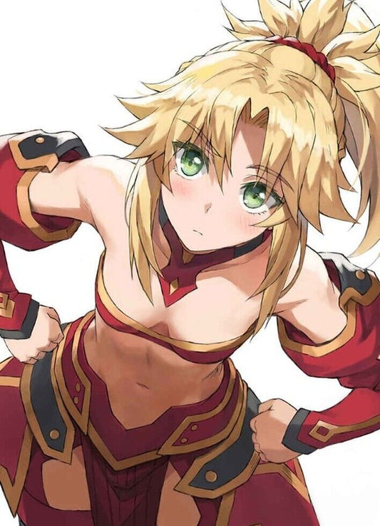 NEET ACADEMIA Fate Grand Order FGO Fan Art Book Mordred Collection C101 Preorder