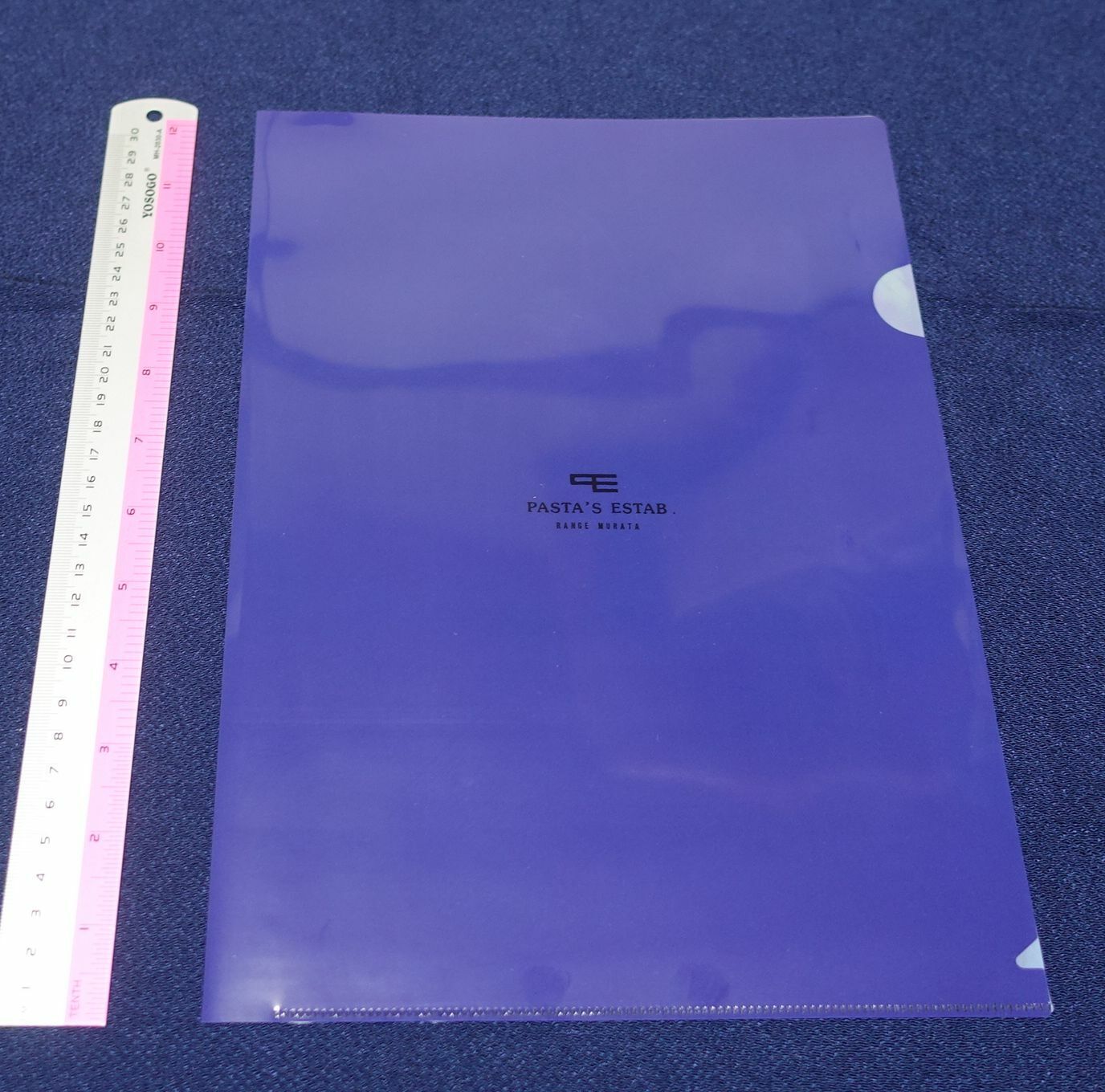 Range Murata PVC Art Sheet Clear File B