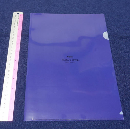 Range Murata PVC Art Sheet Clear File B
