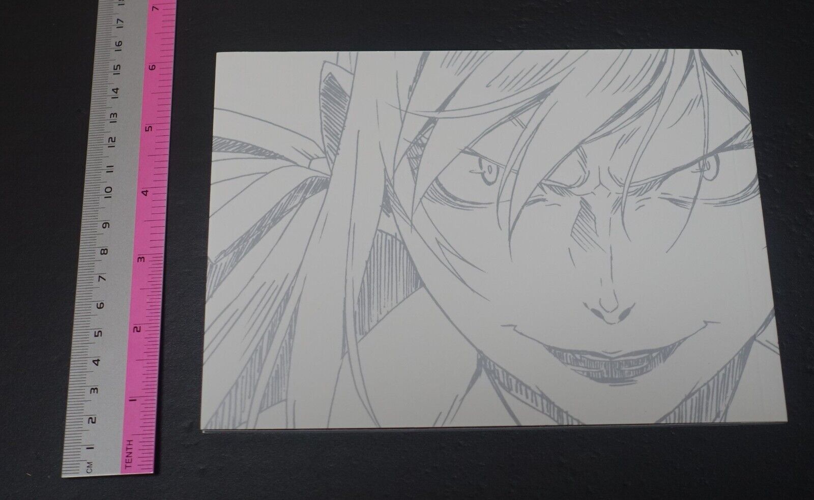 Kizumonogatari 3 Reiketsuhen Booklet Staff Interview Visual Key Frame Art