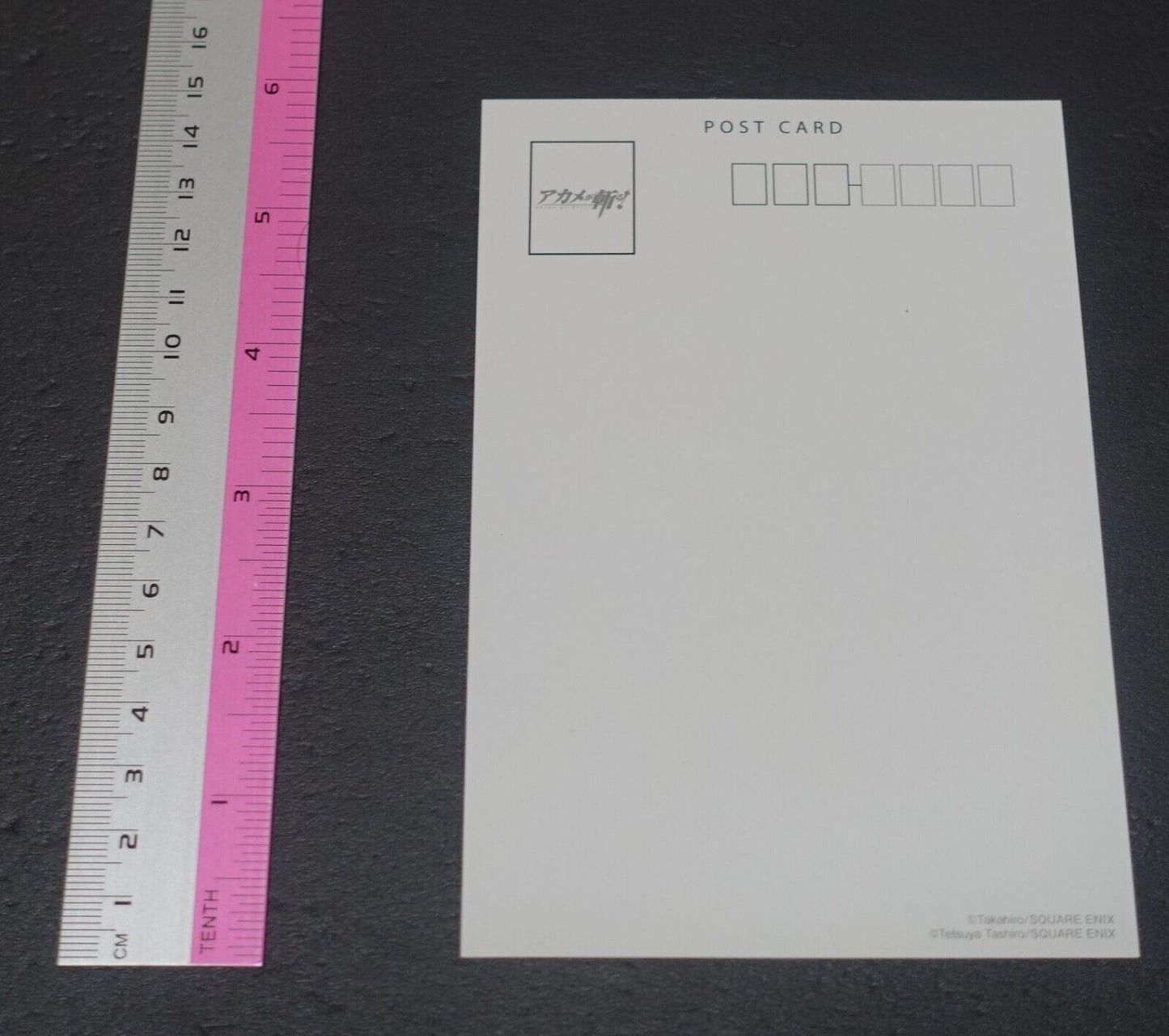 Tetsuya Tashiro Akame ga Kill! e-Wondergoo Privilege Art Post Card Akame & Mine