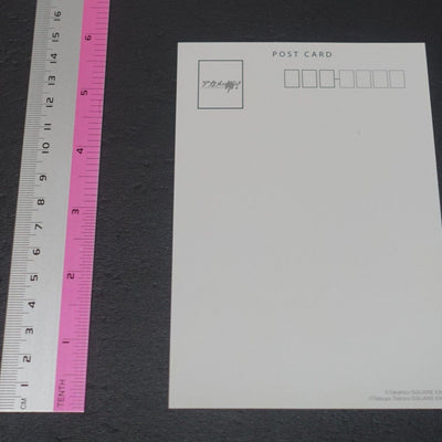 Tetsuya Tashiro Akame ga Kill! e-Wondergoo Privilege Art Post Card Akame & Mine