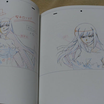 Bakemonogatari Key Animation Note prologue