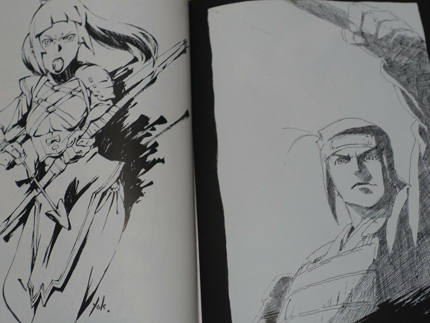 Igajirou Sword of the Stranger Fan Art & Comic Book Grind