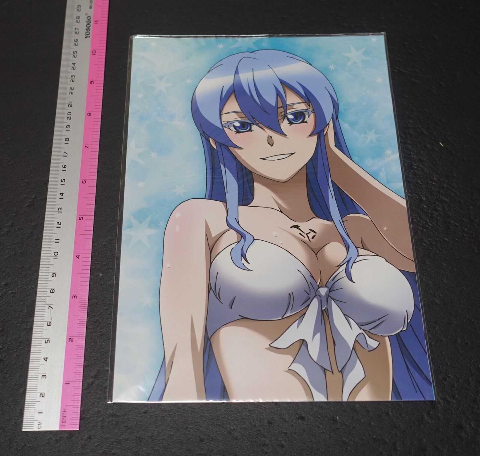 Akame ga Kill! Warter Resistant Poster 75 x 15 cm Esdeath